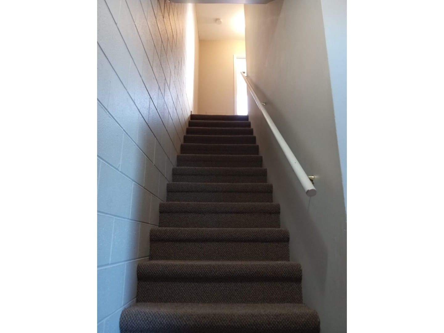 A long staircase with brown carpet and white handrail.